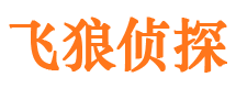 定西外遇调查取证